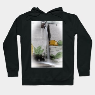 water falls Hoodie